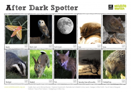 Night-time Investigators | Worcestershire Wildlife Trust Night-time Investigators | Worcestershire Wildlife Trust