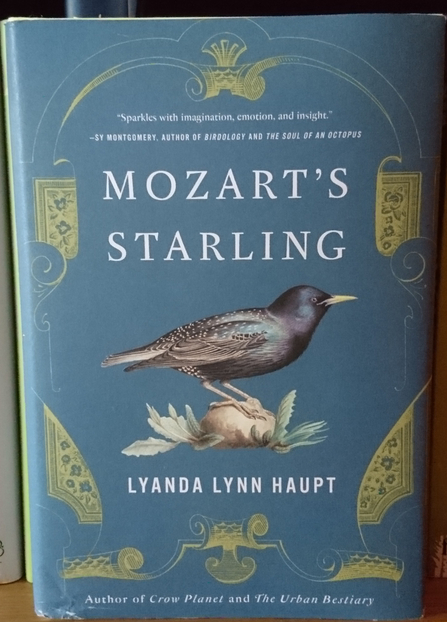 Front cover of Mozart's Starling book