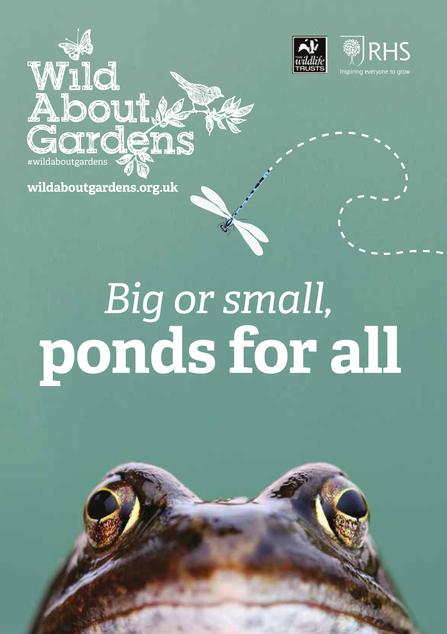 Front cover of 'Big or small, ponds for all' booklet