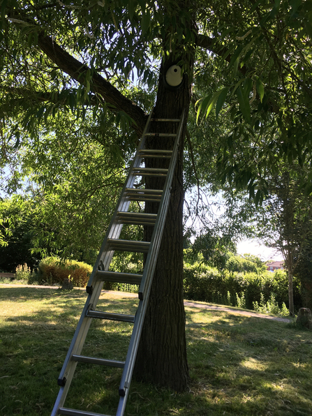 Installing a bird box by Colin Bates