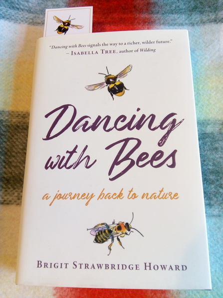 Front cover of Dancing with Bees: a journey back to nature by Brigit Strawbridge Howard