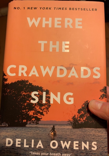 Front cover of 'Where the Crawdads Sing' by Delia Owens