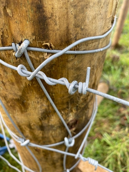 Fence with twisted wire by Issy Troth