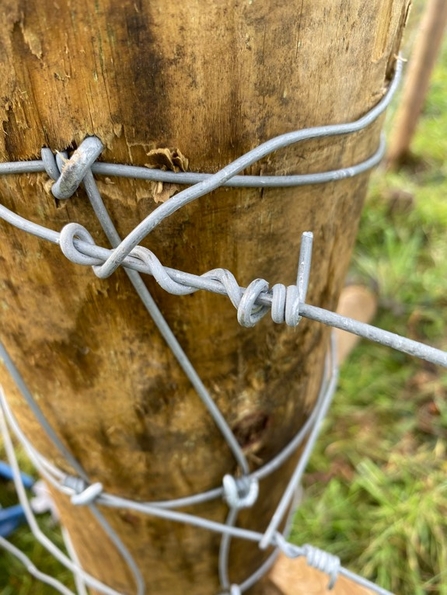 Fence with twisted wire by Issy Troth