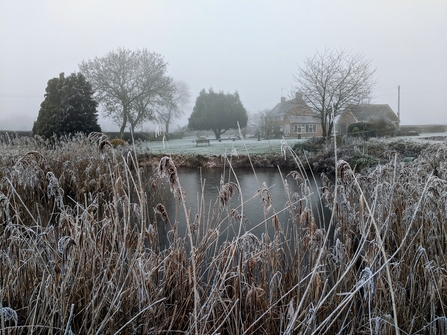 Farm pond and hoar frost by Lucy Rix