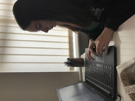 Woman working on a laptop on a desk