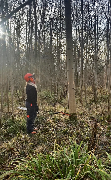 Person holding a chainsaw looking up at a tree