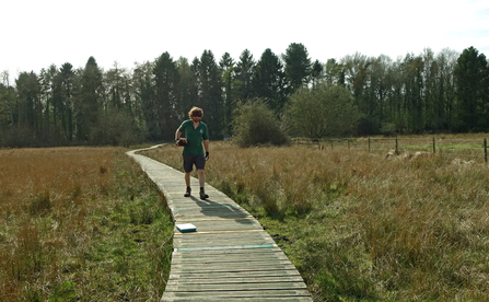 Man in shorts and green polo shirt walking along a boardwalk at Ipsley Alders Marsh with trees in the background by Ruthie Cooper