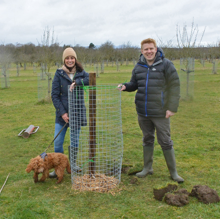 A woman (in woolly hat) and man (in insulated jacket) standing on either side of a recently planted tree