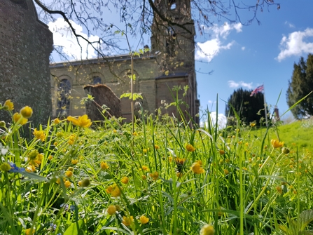 No Mow May at St Bartholomew's churchyard, Tardebigge by Jasmine Walters