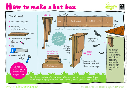instructions for making a bat box