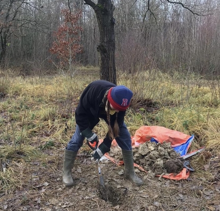 Digging a hole for a post