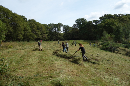 Volunteers raking a meadow by Iain Turbin