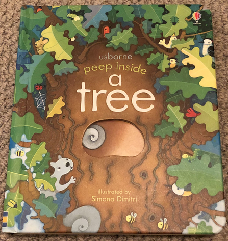 Front cover of 'Peep Inside a Tree' book - illustrated tree trunk, leaves and wildlife
