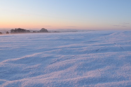 Wildlife footprints in a snowy landscape at sunrise by Linda Jones