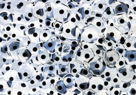 Close up of frogspawn by Richard Clifford