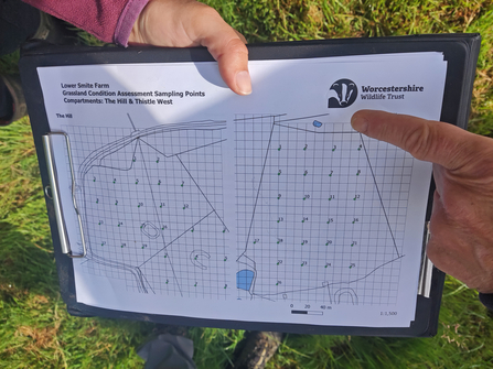 Grassland condition form with a map on a grid base by Romy Clarke