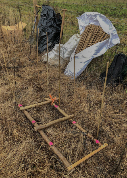 A wooden spacer in the foreground to measure spacing between plants by Catharine Jarvis