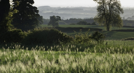 Haregill Lodge Farm, North Yorkshire