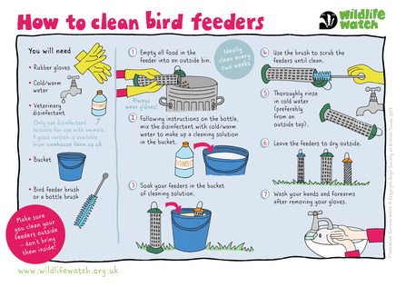Illustrated instructions for cleaning bird feeders