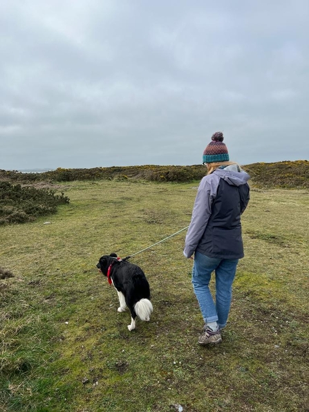 Katy from Ulster Wildlife walks her rescue collie Vinnie. Vinnie is on a lead.