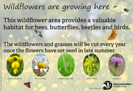 Poster to promote that wildflowers are growing in this patch, providing valuable habitat to bees, butterflies, beetles and birds