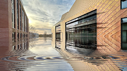 View of The Hive on the right side with water halfway up the building by Clive Haynes