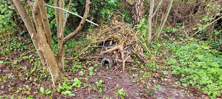 A hibernaculum with trees surrounding it