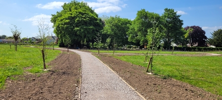 Eckington Community Fields with a path running through it