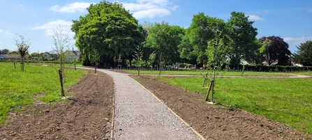 Eckington Community Fields with a path running through it