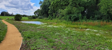 A path running along the edge of a pond, which is filled with water.