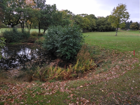 A pond with steep sides and surrounding vegetation