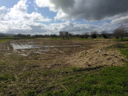 The cleared and extended reedbed at Craycombe