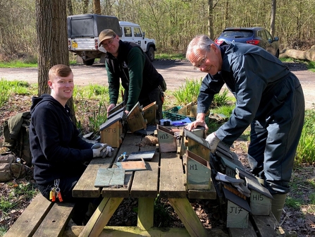 Three men with many dormouse boxes in different stages of cleaning/mending by Catharine Jarvis