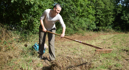 Woman raking grass in a field by a hedge on a hot sunny day by Jess Nott