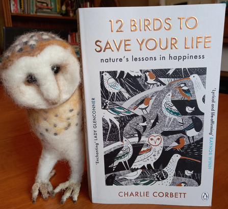 Felted barn owl standing next to the book '12 Birds to Save Your Life - nature's lessons in happiness" (photo by Sandra Young)