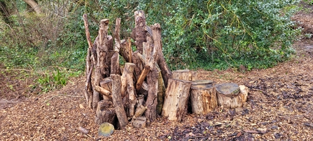 Vertical log pile for invertebrates by Becca Bratt