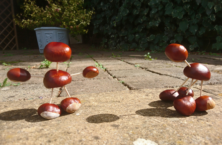 Person and dog made from conkers and cocktail sticks (conker each for head, body, hands/.feet) by Wendy Carter