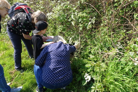 A group of people, including a child, looking into the base of a hedgerow on a sunny day by Liz Yorke