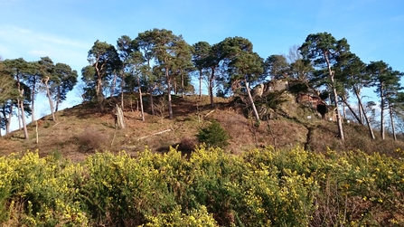 The mound of earth and stone known as The Devil's Spittleful or Spadeful by Wendy Carter