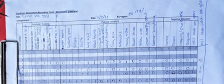 A score sheet from the survey of a meadow