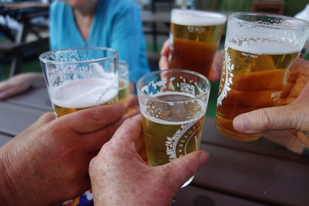 Four half-pint glasses filled with lager/beer and being held in a 'cheers' pose by Liz Yorke