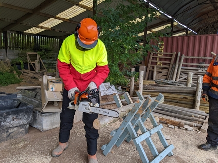 Patrick cutting a log with a chainsaw