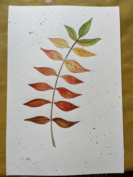 Autumnal leaf watercolour by Heather Pullin
