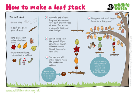 Make a leaf stack guide