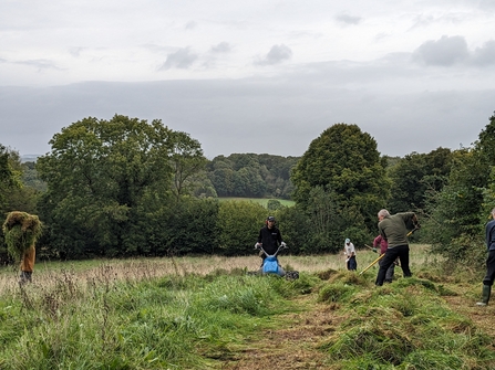 Volunteers working at Eades Meadow