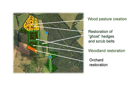 Map of new habitats at Green Farm