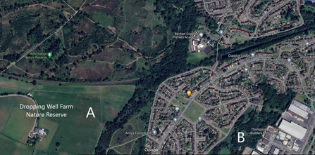 Map of Birchen Coppice, Rifle Range and Dropping Well Farm