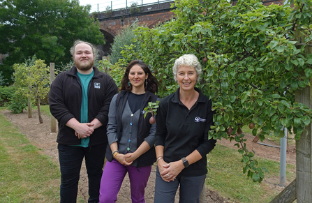 Three people standing beside trees and smiling at the camera