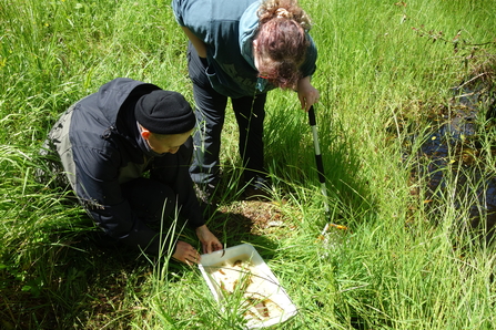 Yaz and Claire looking at a pond sample